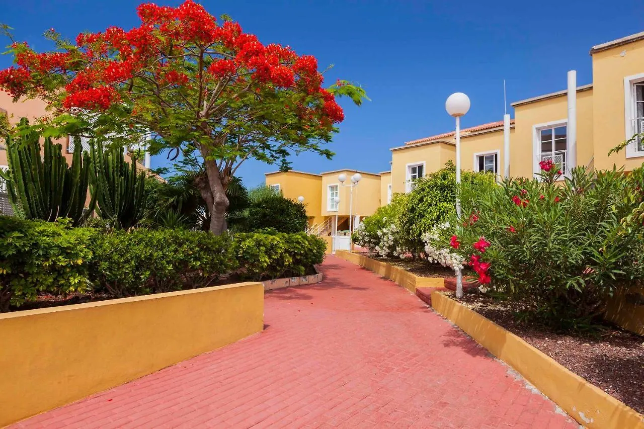 Cozy Apartment Orlando Costa Adeje   Costa Adeje (Tenerife)